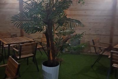 Casă cu 2 camere cu Teren 400 Mp în Central - 4