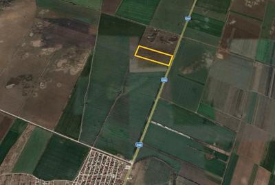 Teren de 25700 mp, în Ștefăneștii de Jos - 2