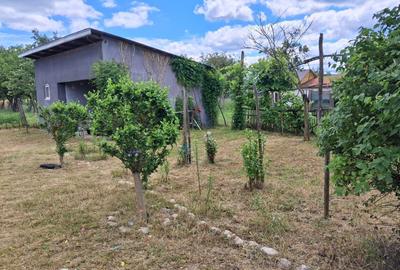 Casă cu 3 camere în Bacea - 7