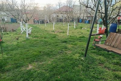 Casă cu Teren 780 Mp în Central - 5