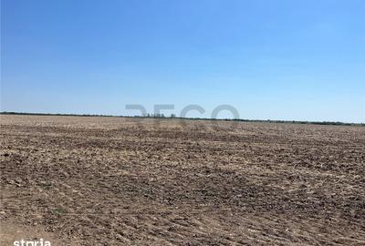 Teren de 18100 mp, în Tulca