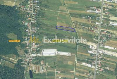Teren de 7545 mp, în Mărăcineni