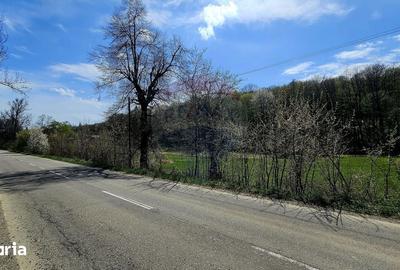 Teren de 10000 mp, în Vânători-Neamț - 10