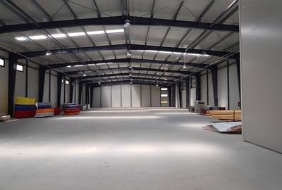 Spațiu comercial, de 1,000 mp, în Mogoșoaia - 4