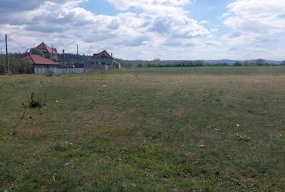 Teren de 2540 mp, în Șimian - 3