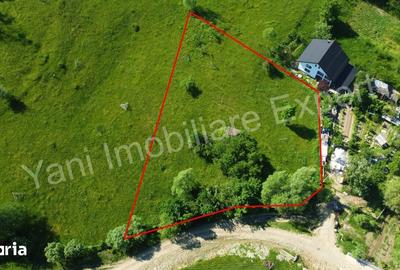 Teren de 2400 mp, în Valea Danului - 5