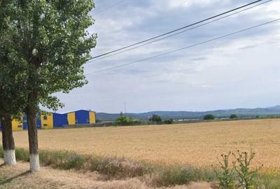 Teren de 10831 mp, în Ceptura