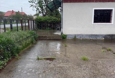 Casă cu 9 camere cu Teren 1575 Mp în Borșa - 3