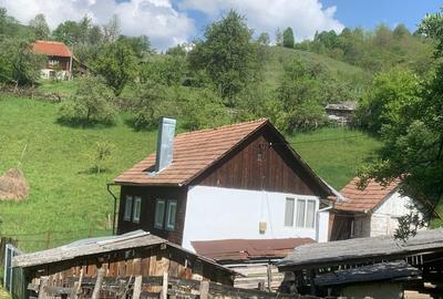 Casă cu 2 camere cu Teren 8000 Mp în Brăzești - 1