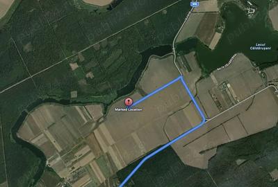 Teren de 4700 mp, în Gruiu - 2