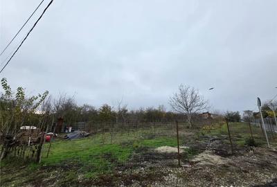 Teren de 16000 mp, în Brănești - 2
