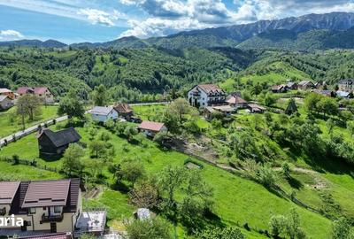 Teren de 2000 mp, în Moieciu - 13