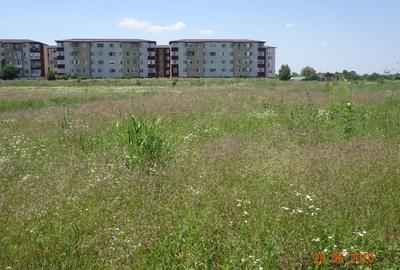 Teren Construcții intravilan de 2500 mp, în Prelungirea Ghencea