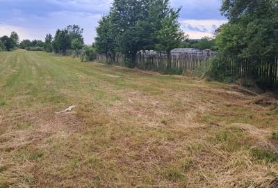 Teren Construcții intravilan de 3677 mp, în Polovragi - 3