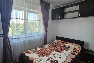 Apartament cu 2 camere semidecomandat, mobilat în Girocului - 3