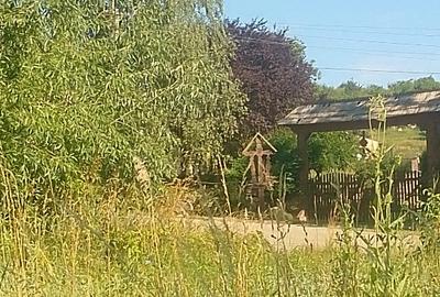 Teren Construcții intravilan de 3000 mp, în Sopor - 4