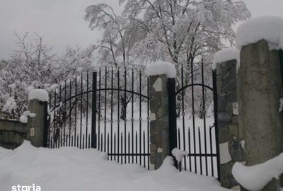 Teren de 4900 mp, în Poiana - 3
