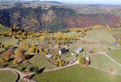 Teren Construcții intravilan de 66000 mp, în Măguri - 3