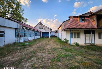 Teren de 8200 mp, în Alexandru cel Bun