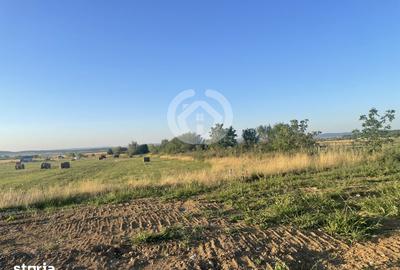 Teren de 1666 mp, în Poplaca