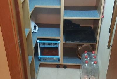 Apartament cu 3 camere decomandat în Șagului