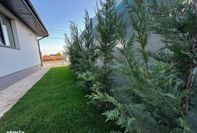 Casă cu 4 camere cu Teren 330 Mp în Crevedia - 9