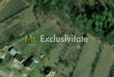 Casă cu 3 camere cu Teren 4226 Mp în Băbana