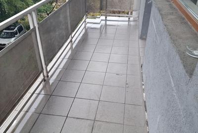 Apartament cu 2 camere în Dosu Bricii