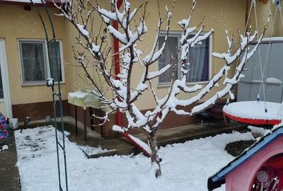Casă cu 3 camere cu Teren 100 Mp în Câmpinița - 2
