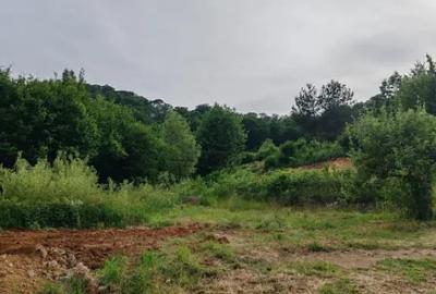 Teren în Băița