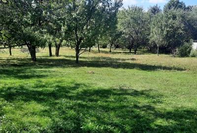 Teren de 8540 mp, în Breaza - 4