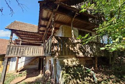 Casă cu Teren 9223 Mp în Baia de Criș - 3