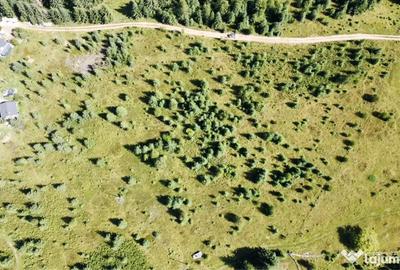Teren de 4000 mp, în Dorna-Arini - 8