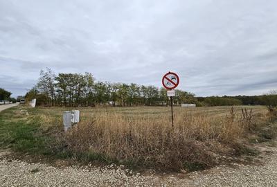 Teren Construcții intravilan de 647 mp, în Snagov - 4