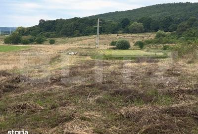 Teren de 3600 mp, în Central
