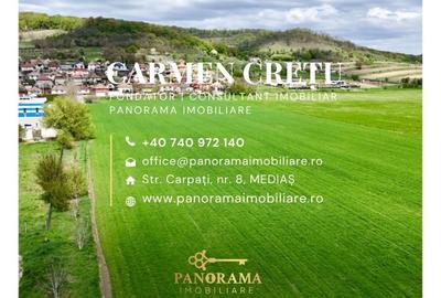 Teren agricol intravilan de 6100 mp, în Nord-Vest - 8