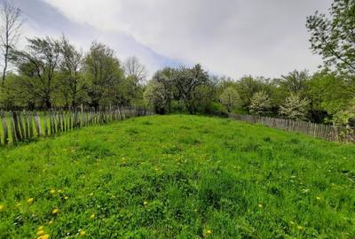 Teren intravilan de 3108 mp, în Teșila - 6
