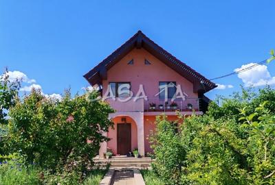 Casă individuală cu 4 camere cu Teren 4037 Mp în Samarinești - 1