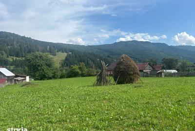 Teren de 7100 mp, în Grințieș - 7
