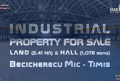 Teren Construcții extravilan de 24105 mp, în Becicherecu Mic - 1