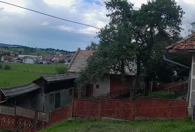 Casă cu 4 camere cu Teren 20600 Mp în Barcani