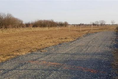 Teren de 2450 mp, în Pruni - 1