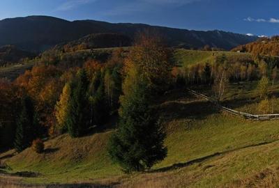 Teren Construcții extravilan de 12150 mp, în Dâmbovicioara - 4