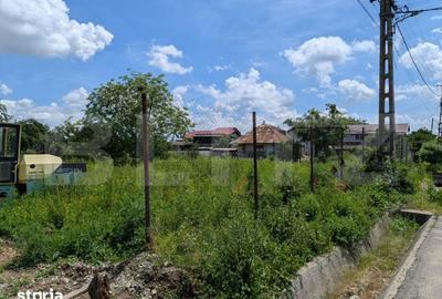 Teren de 12700 mp, în Priseaca - 3