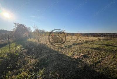 Teren de 12650 mp, în Ghirdoveni - 9