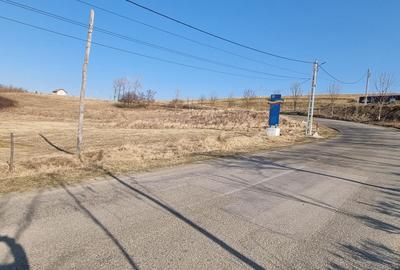 Teren de 4000 mp, în Mihai Eminescu - 1