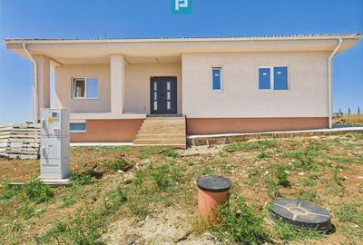 Casă individuală cu 3 camere cu Canalizare în Pișchia - 14