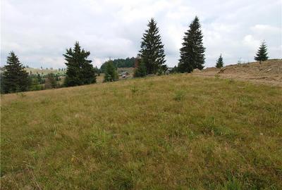 Teren de 7000 mp, în Piatra - 5