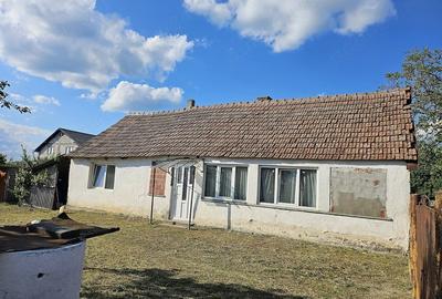 Casă cu Teren 1405 Mp în Sâmbăteni - 2