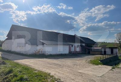 Spațiu comercial, de 232 mp, în Sâg